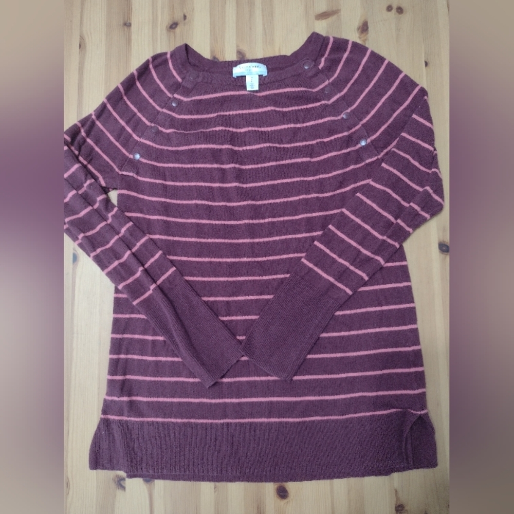 Motherhood Burgundy and Pink Striped Sweater
